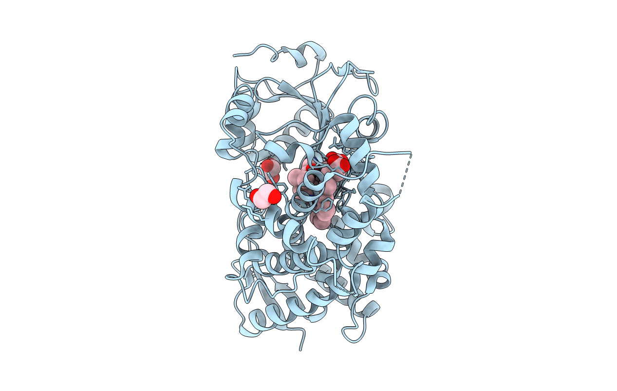 6MA6 image