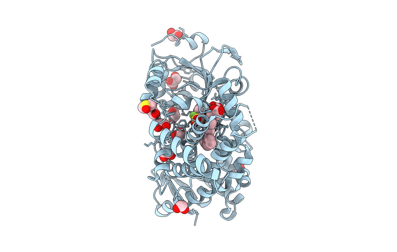 6MA8 image