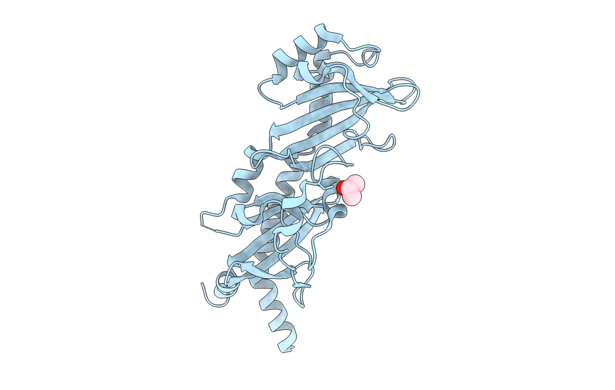 6MAB image