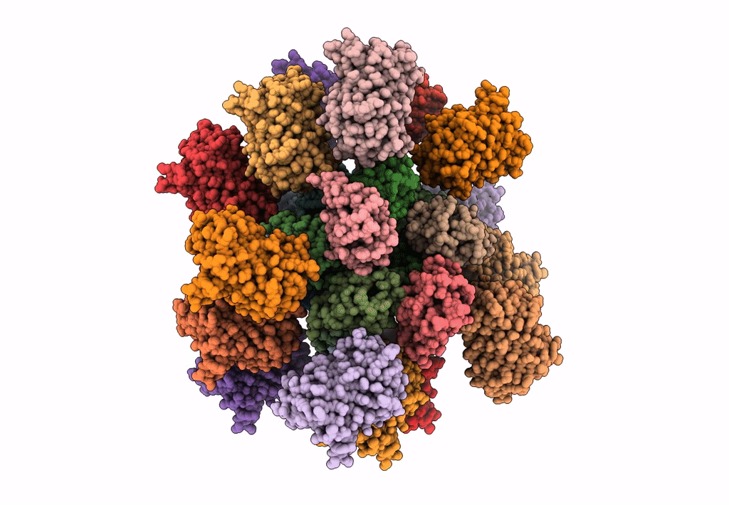 6MB2 image