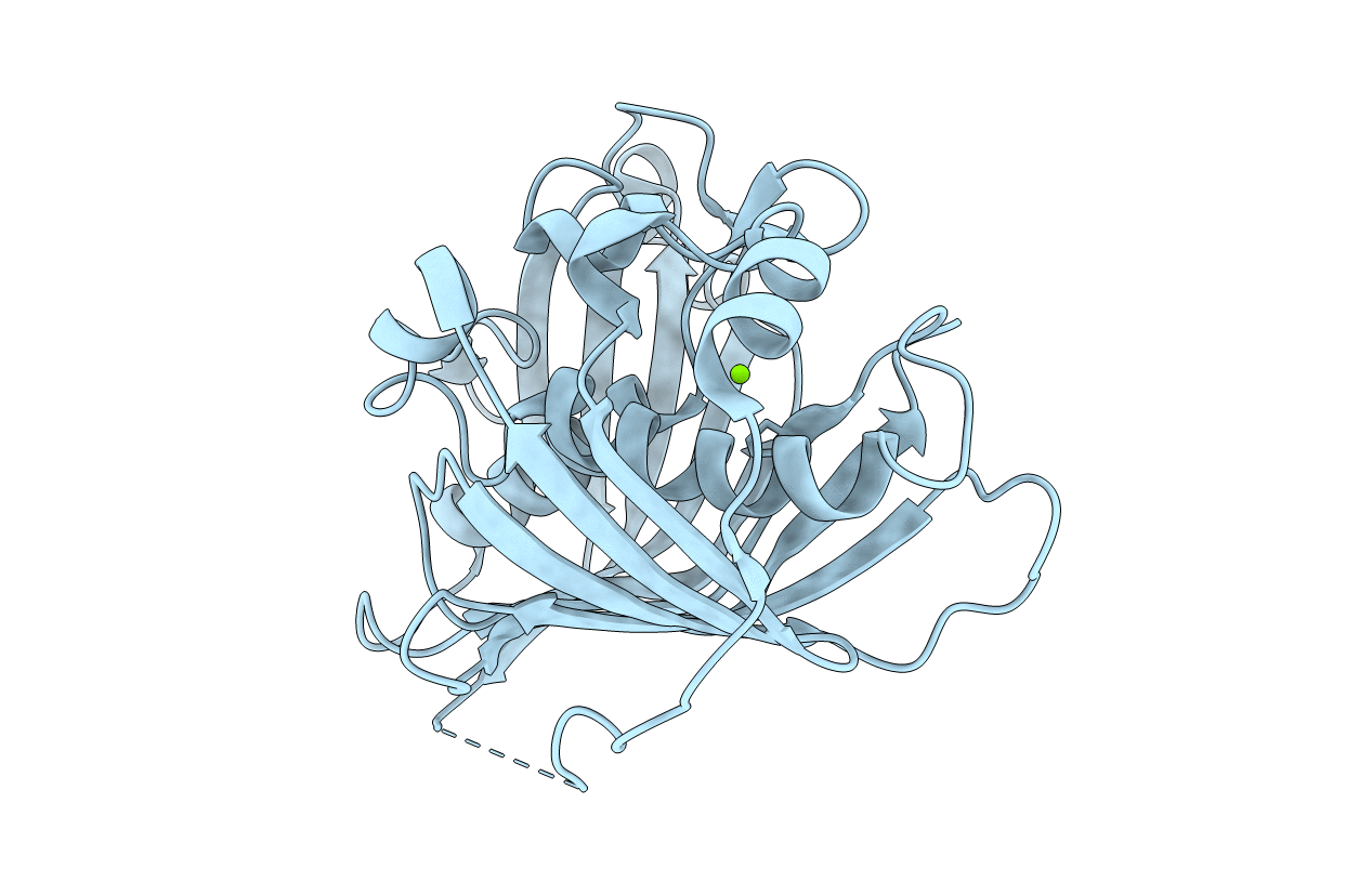 6MBF image