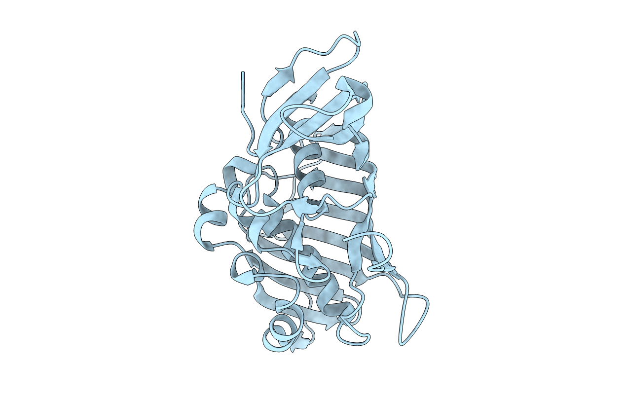 6MBH image