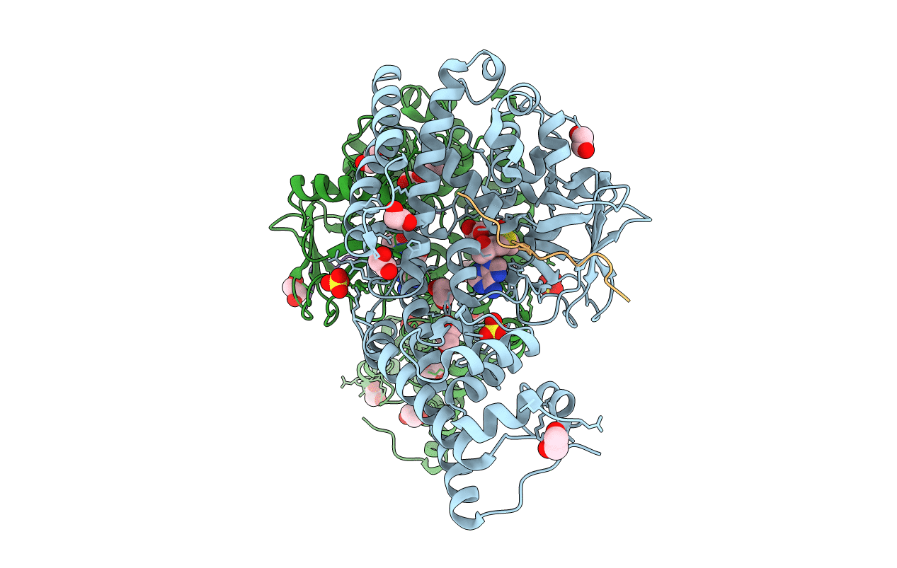 6MBK image