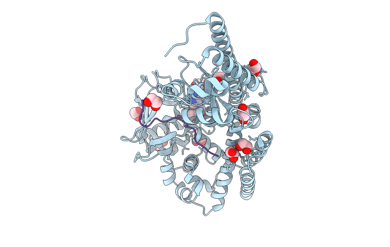 6MBL image