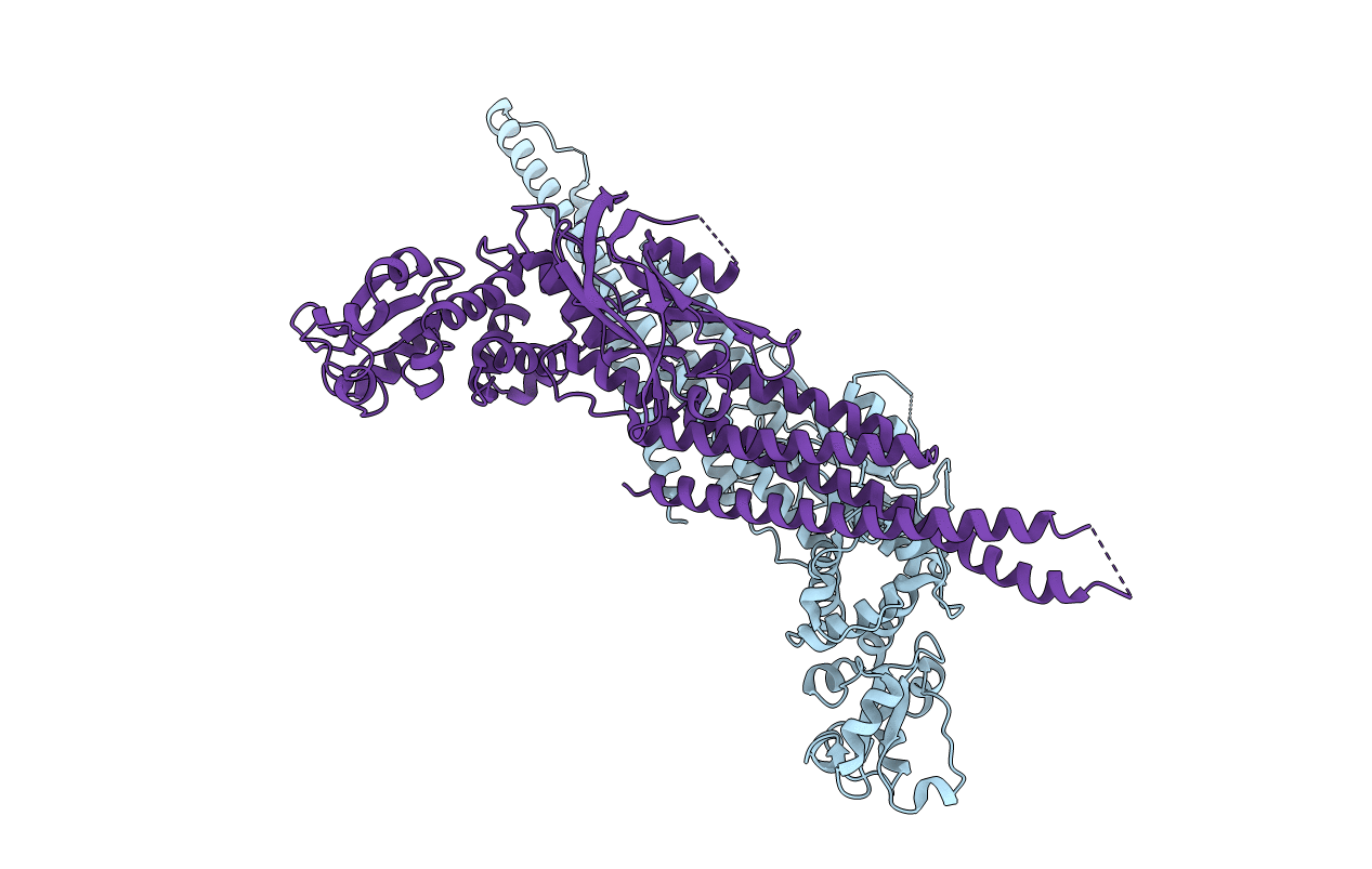 6MBZ image