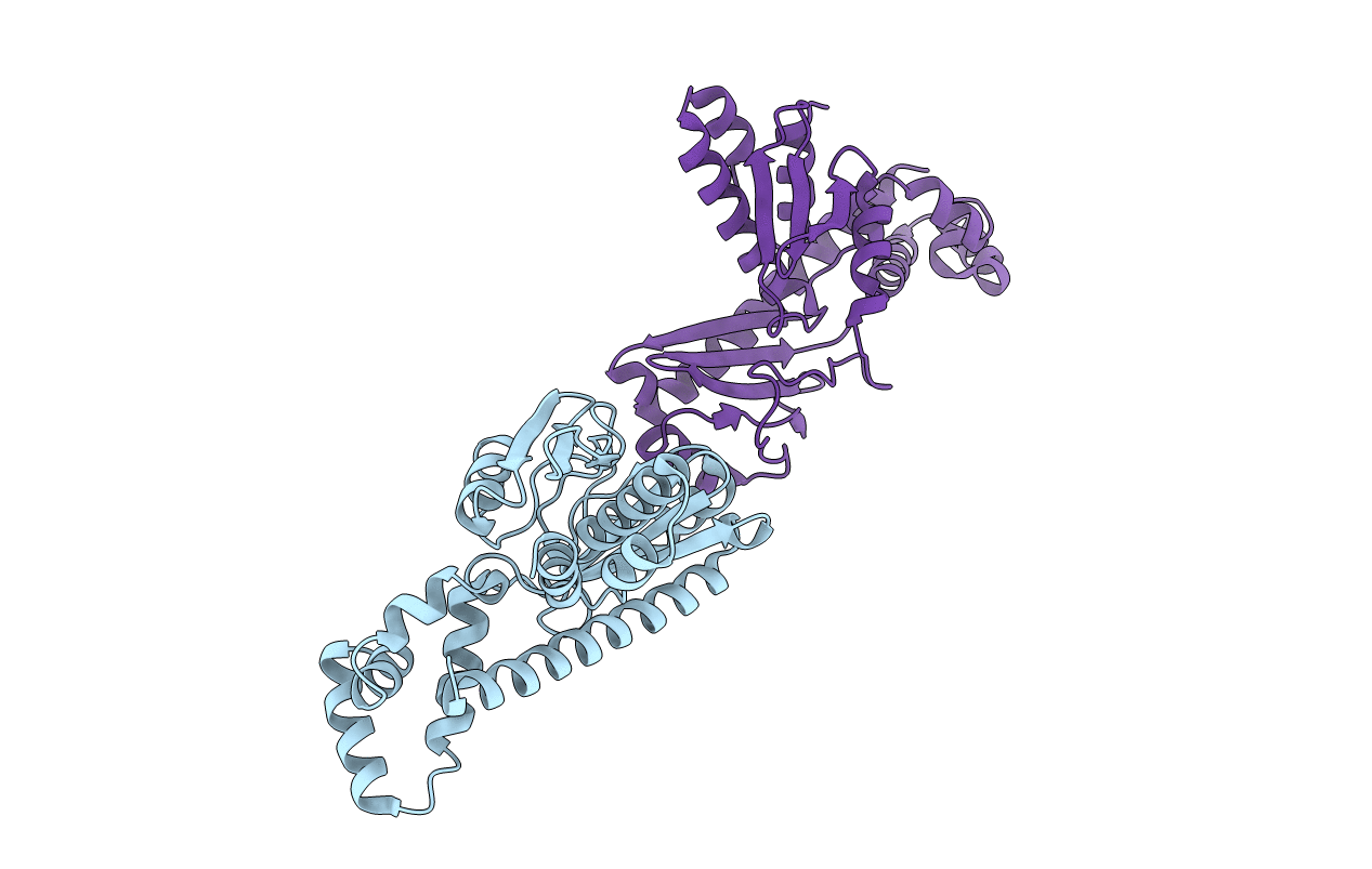 6MC6 image