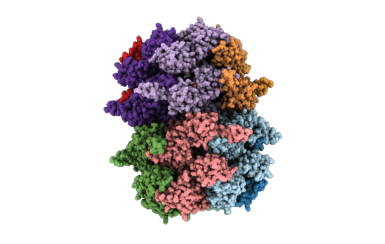 6MCK image