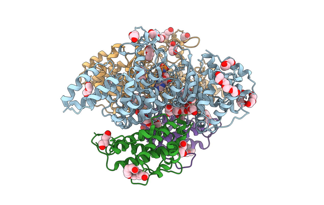 6MCP image