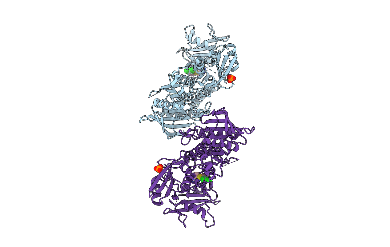 6MDD image