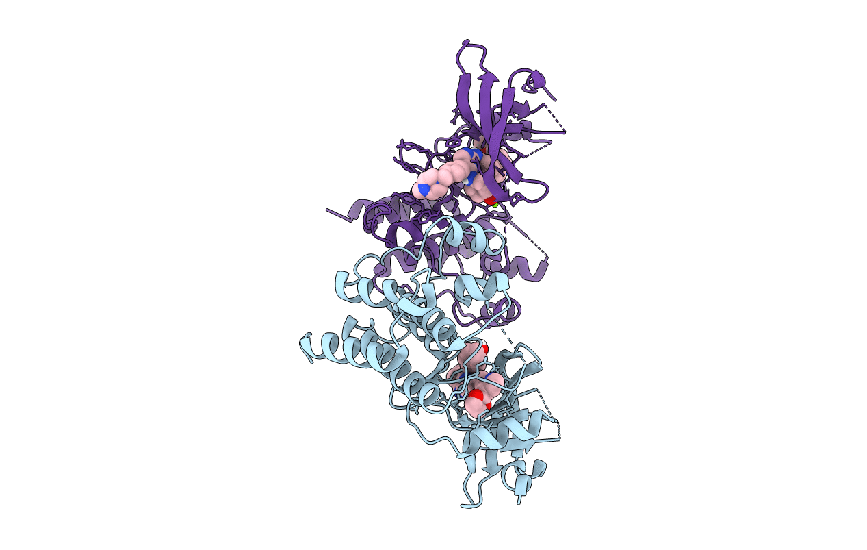 6MEP image