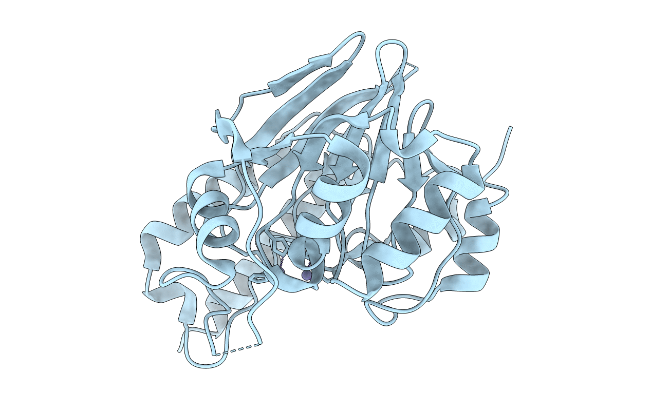 6MFI image