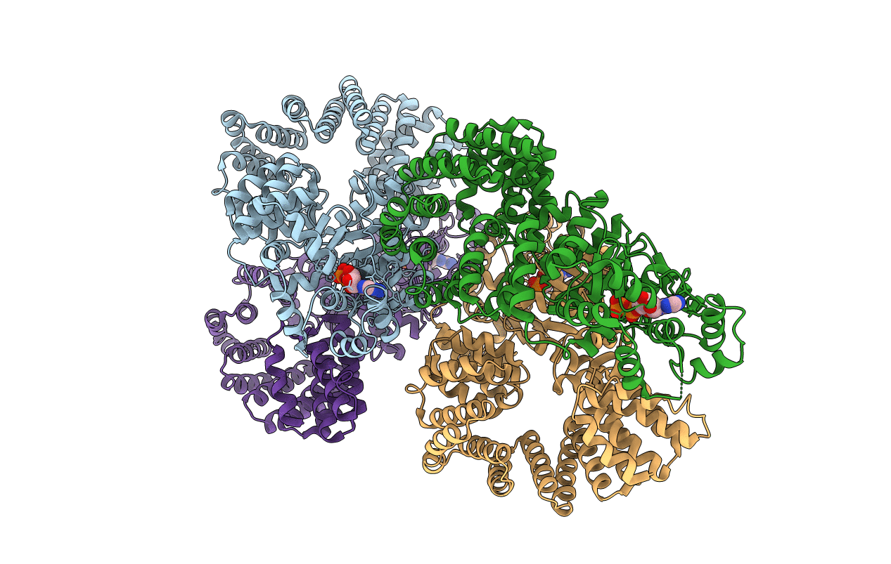 6MFV image