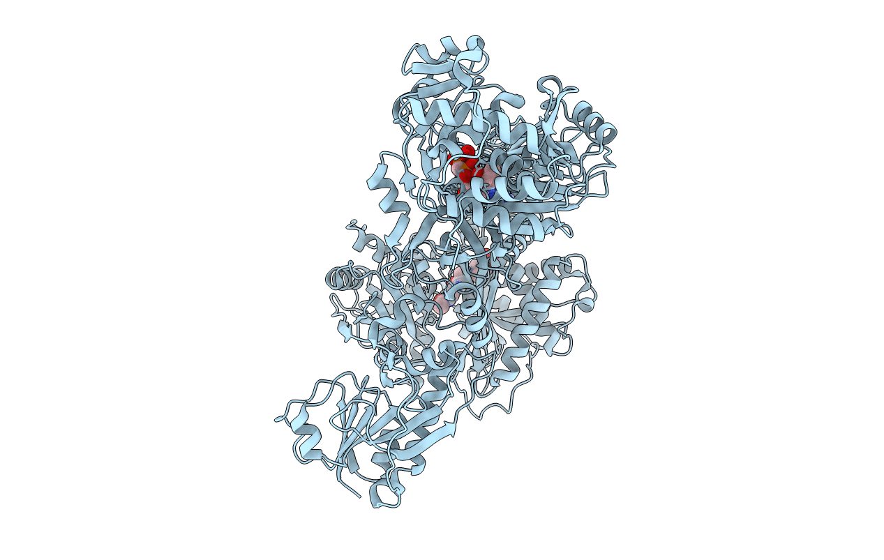6MFX image