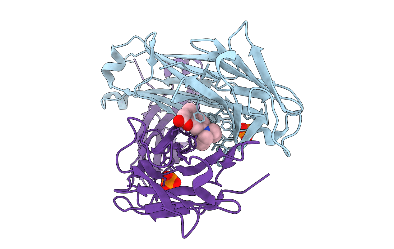 6MG5 image
