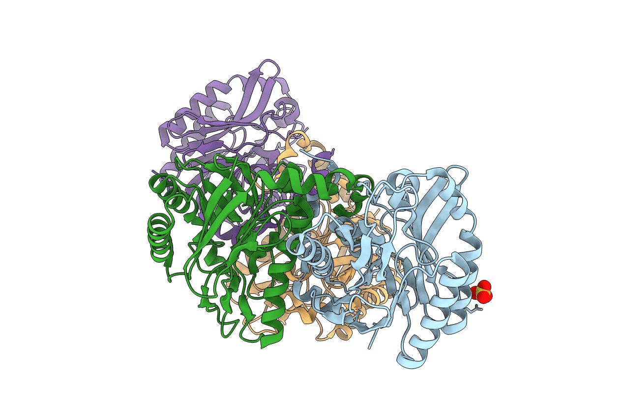 6MG6 image