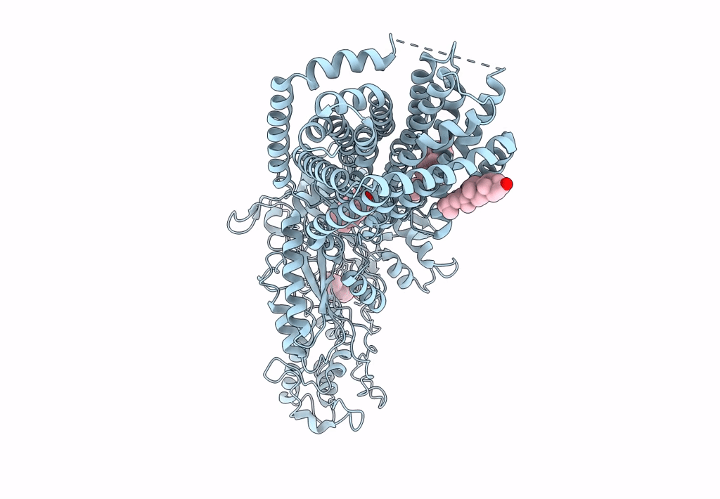 6MG8 image