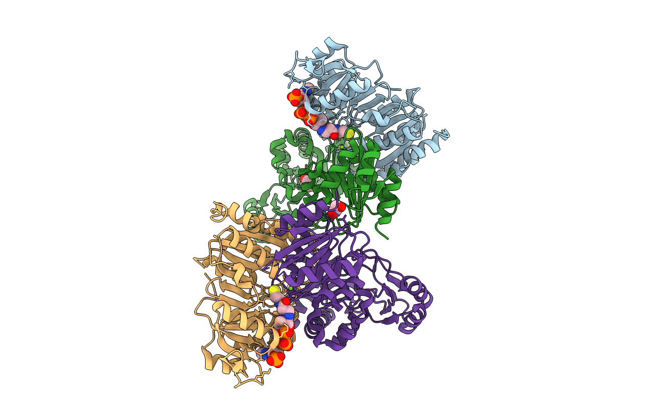 6MGG image