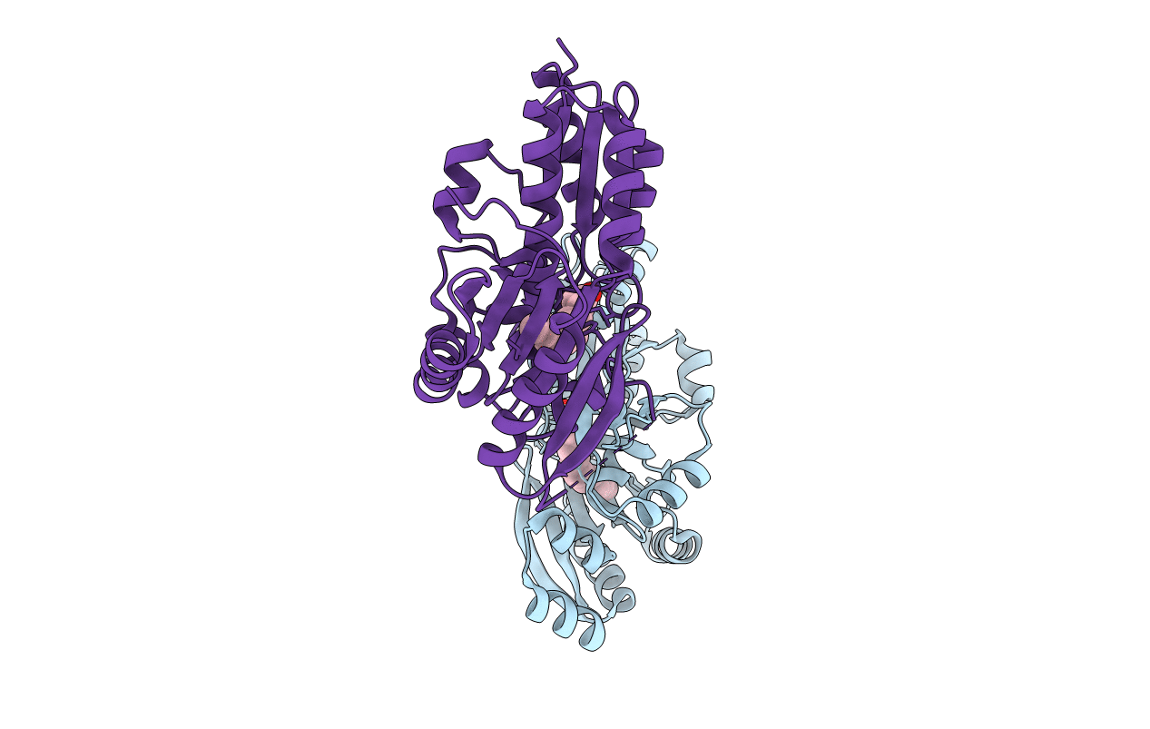 6MH9 image