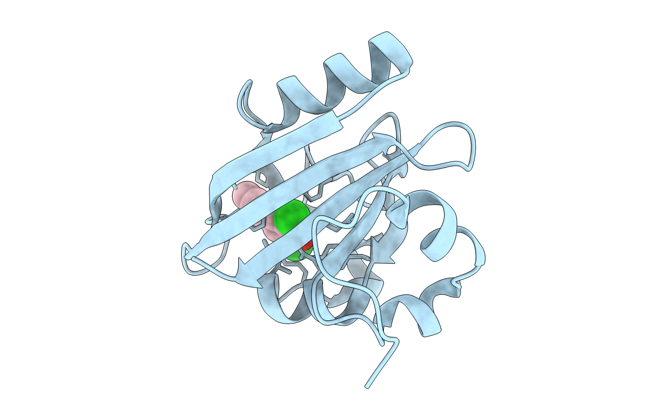 6MHI image