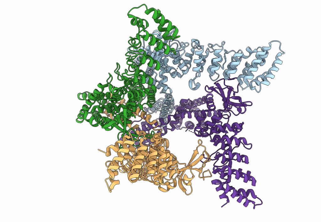 6MHV image