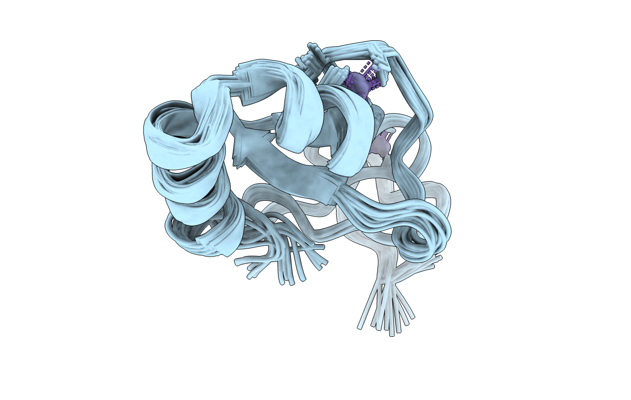 6MIF image