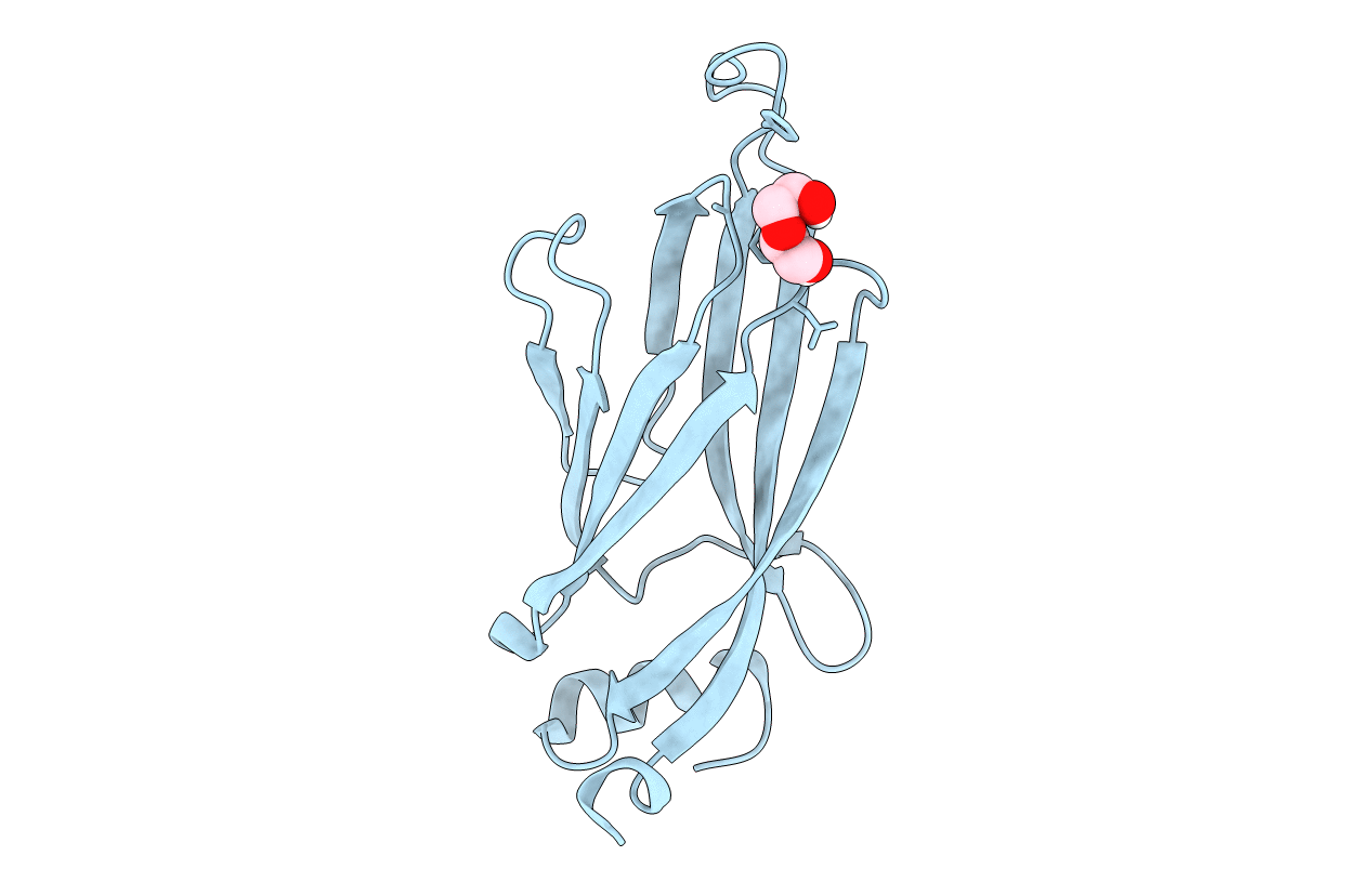 6MIP image