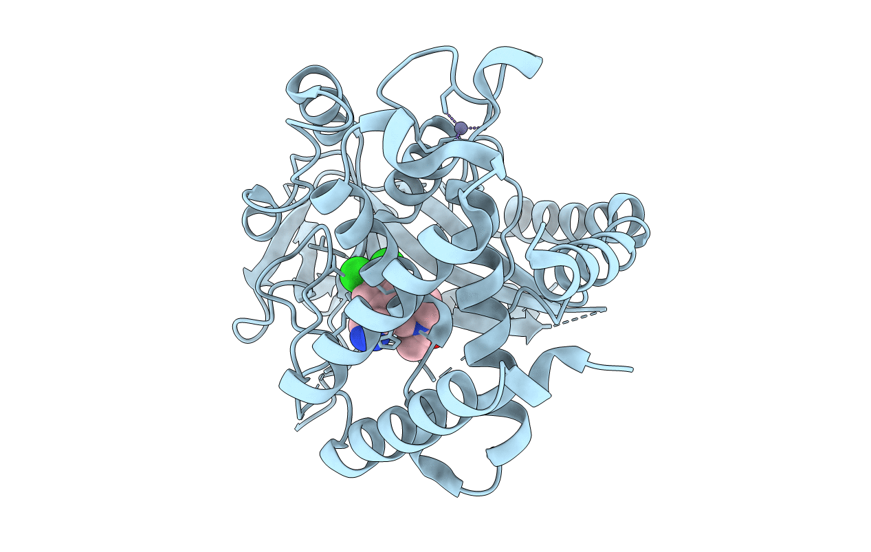 6MJU image