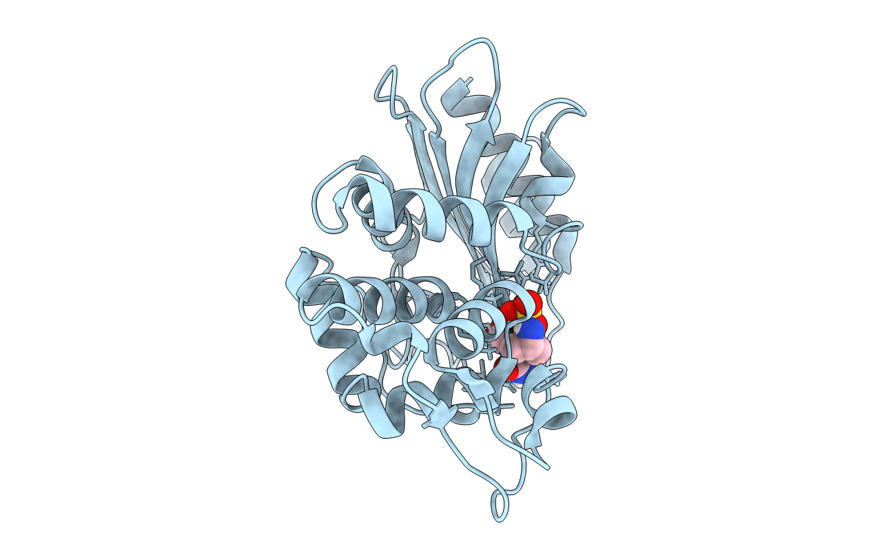 6MKQ image