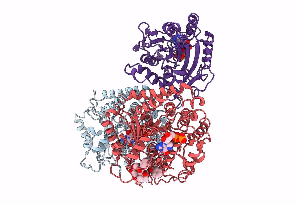 6MLQ image