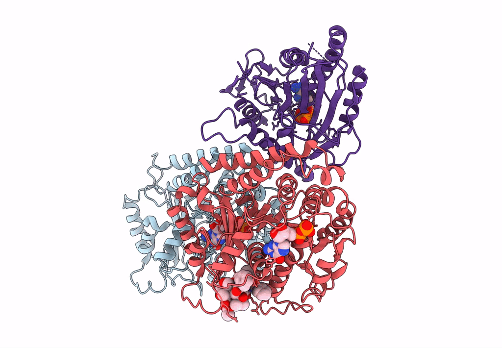 6MLR image