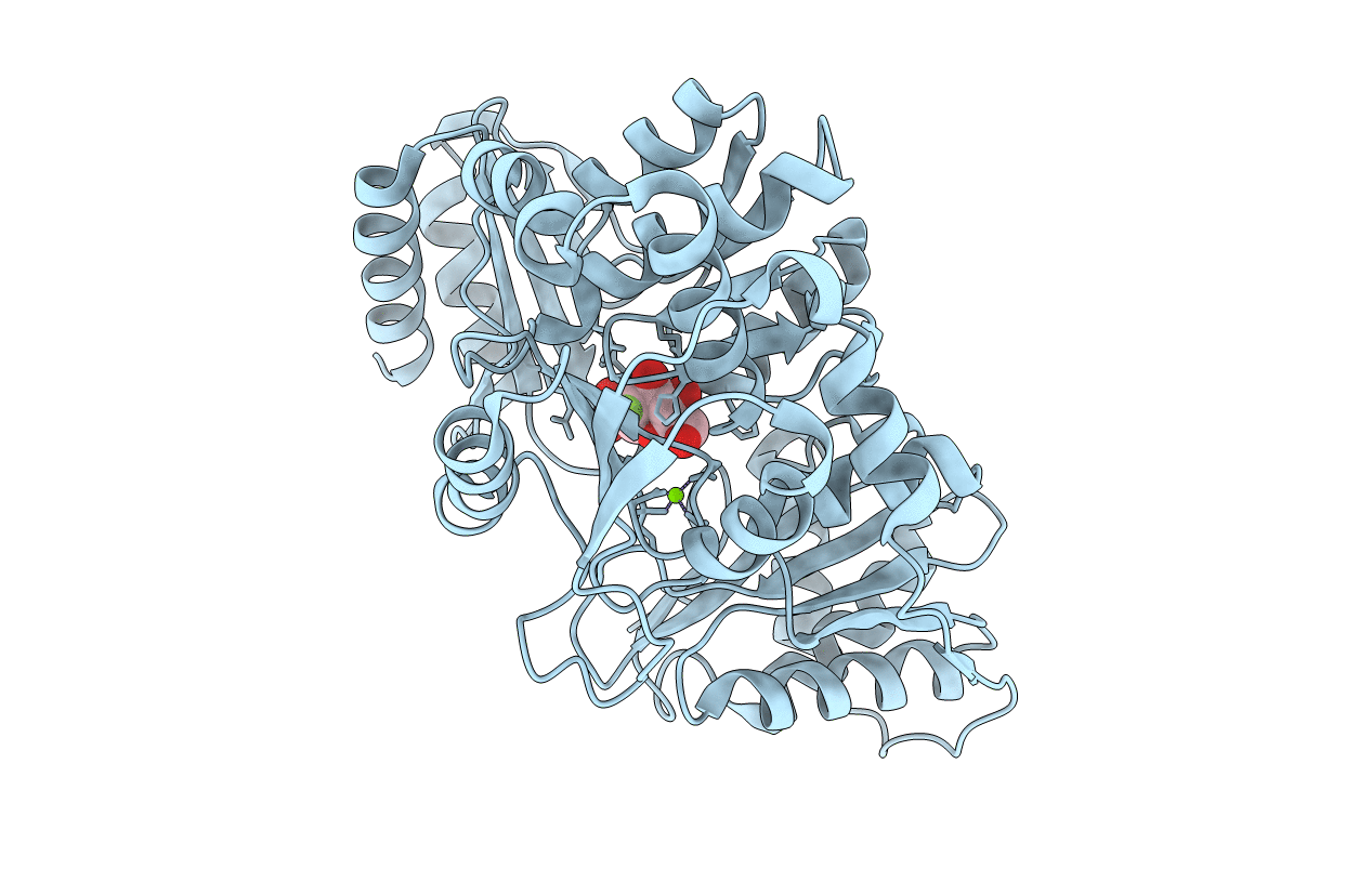 6MLW image
