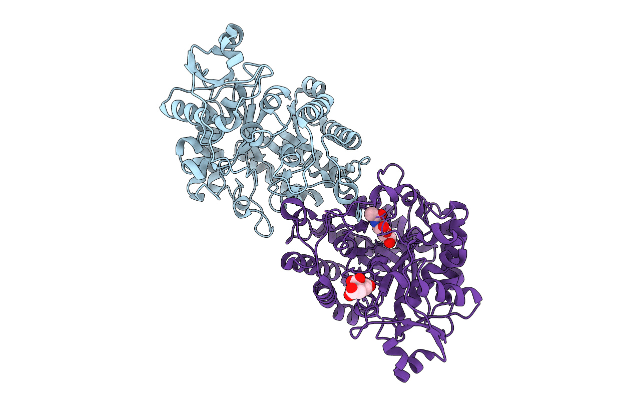 6MPA image