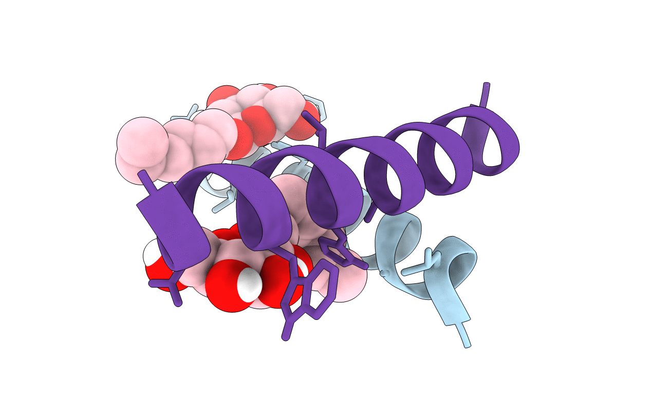 6MPN image