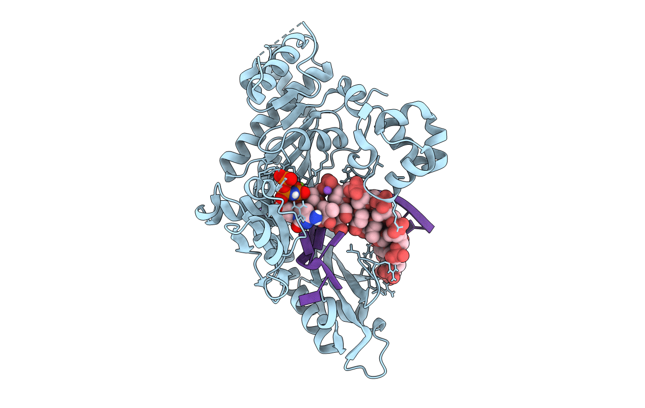 6MQ8 image
