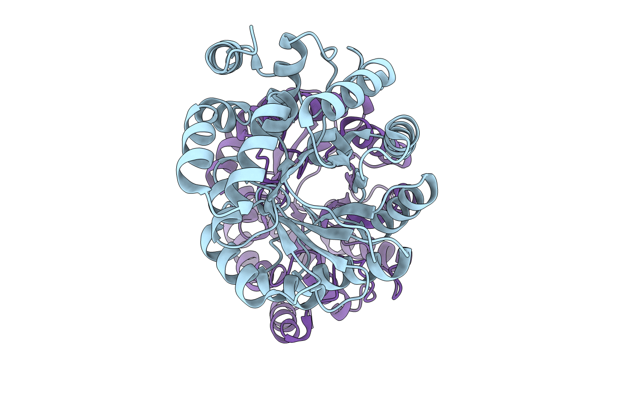 6MQH image