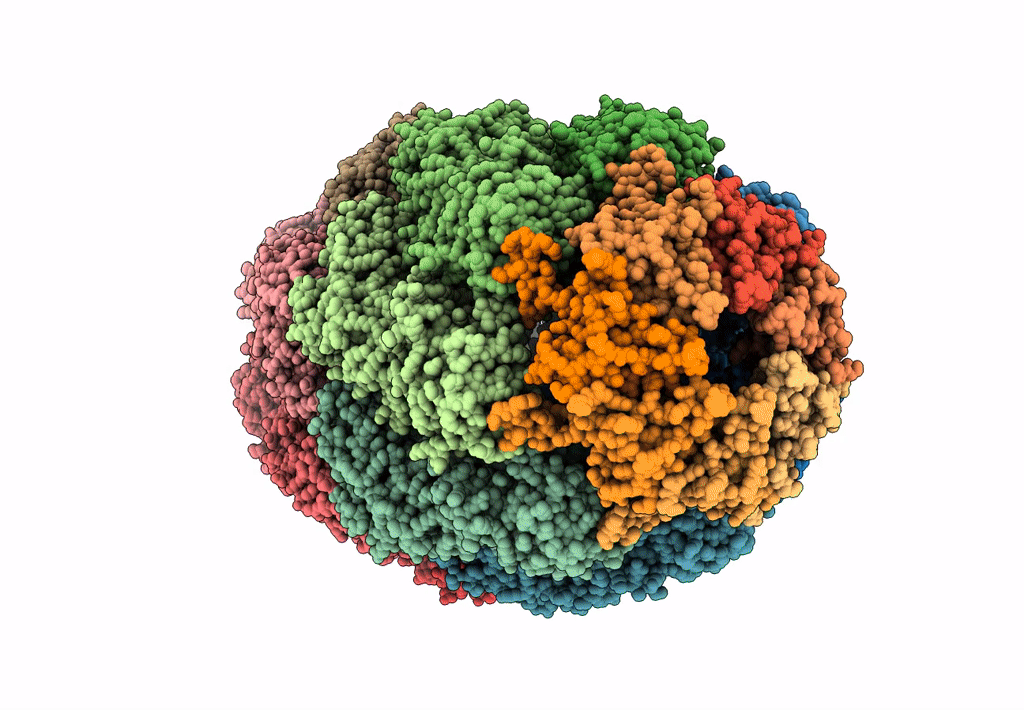 6MRC image