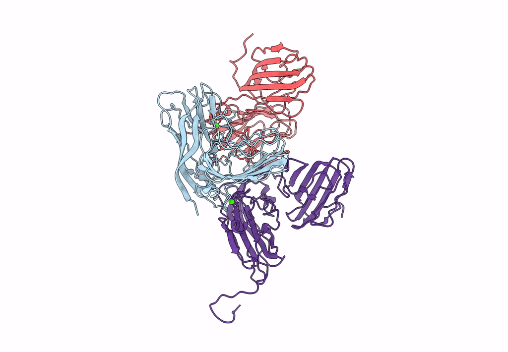 6MRL image