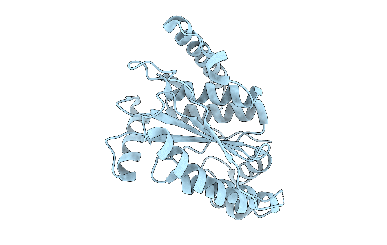 6MRN image