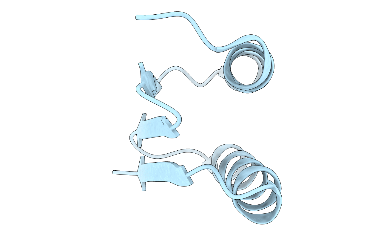 6MRR image