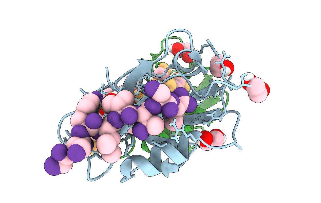 6MS1 image