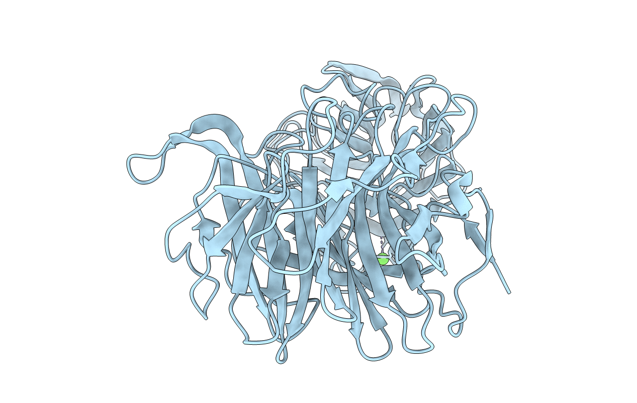 6MS2 image