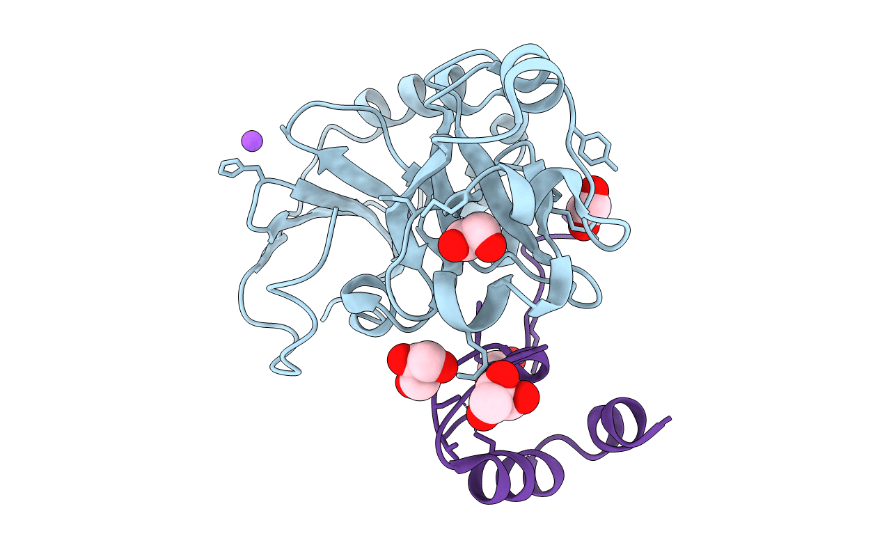 6MS4 image