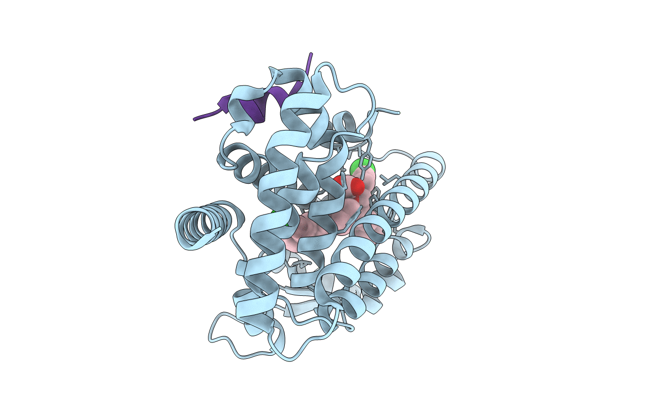 6MS7 image