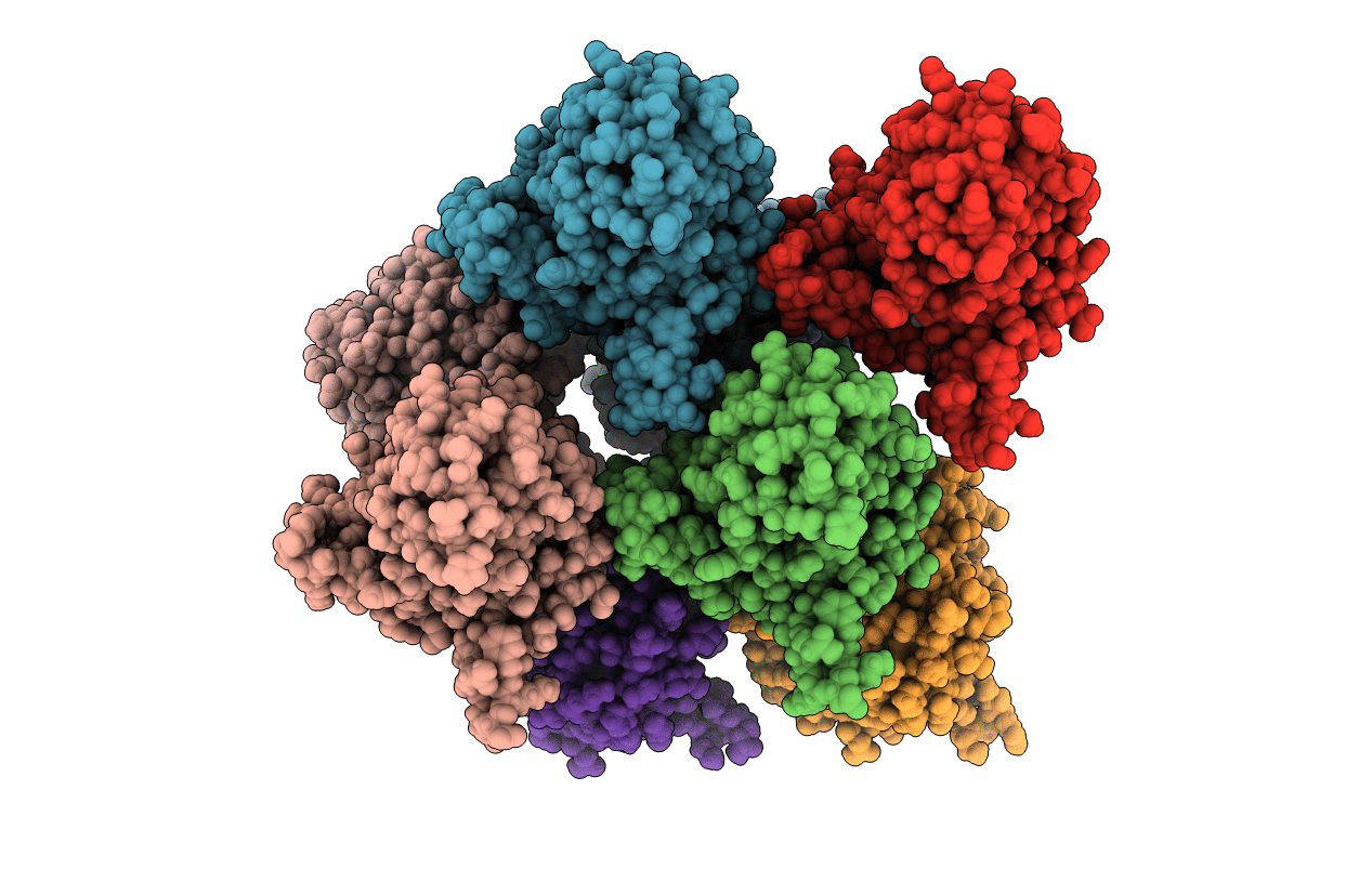 6MS8 image