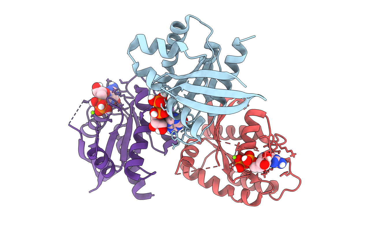 6MS9 image
