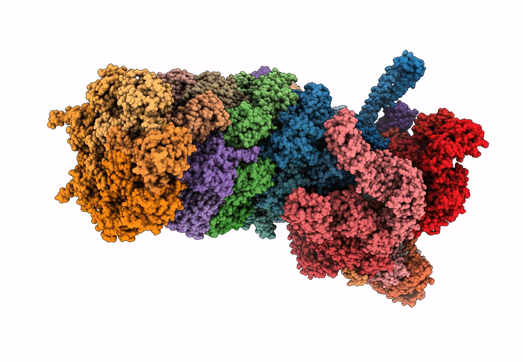 6MSD image