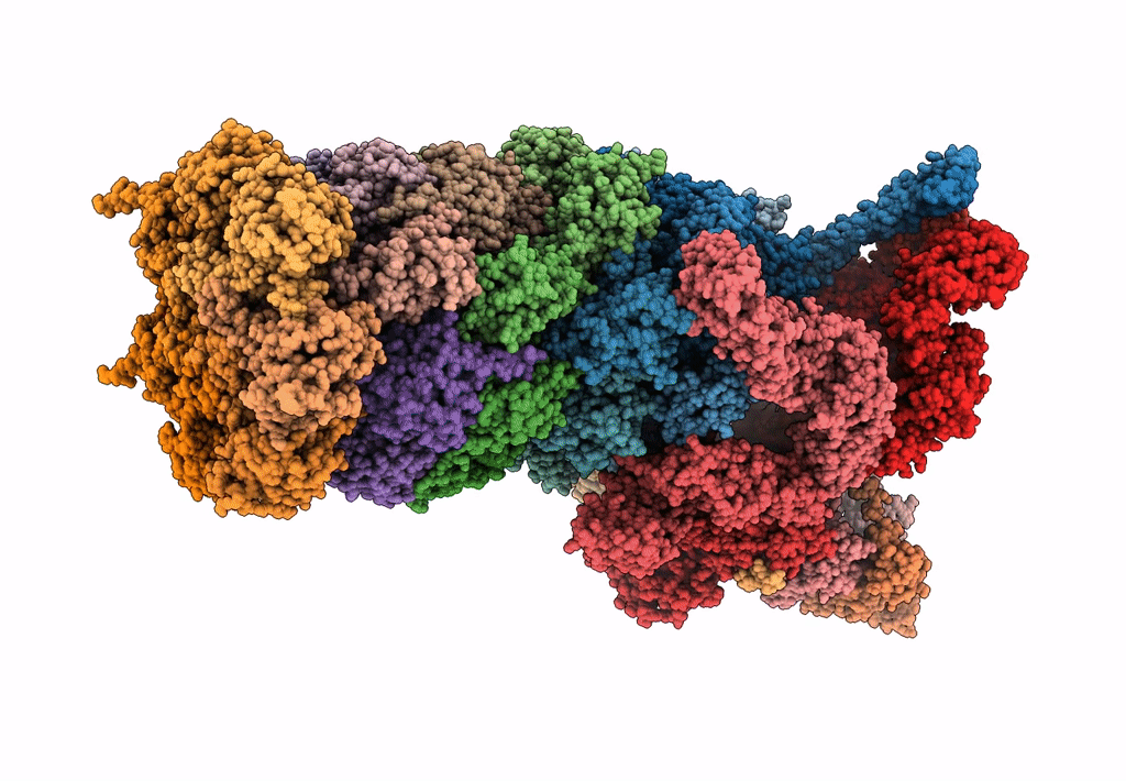 6MSK image