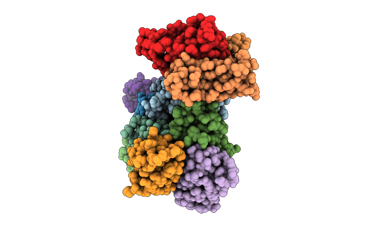 6MSV image