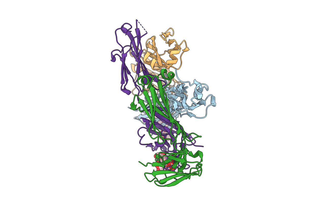 6MUB image
