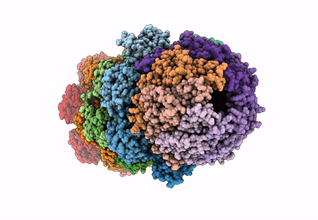 6MUX image
